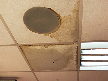 Leaking roof at mardons, built by Linden Homes