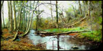 Chew Valley Art