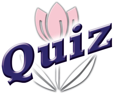 Dorothy House Quiz Night Advert